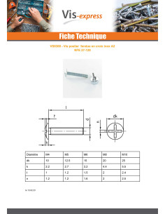 Vis Poelier Fendue En Croix M6X10 Filetage total Inox A2 2