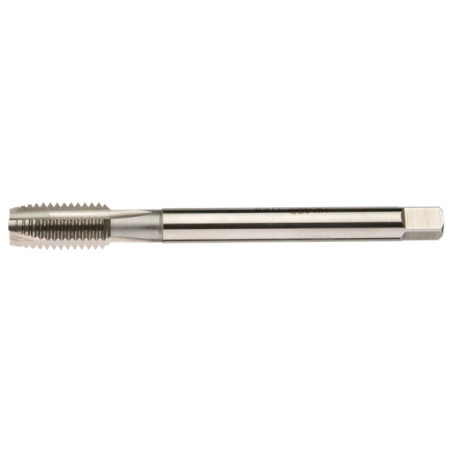 1 x Taraud HSS M6 Pas de 100