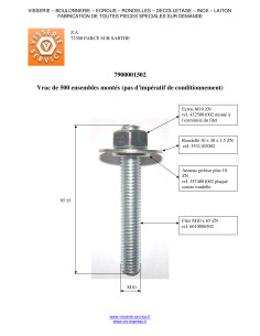 Filet M10X65 Avec Ecrou + Rondelle + GRIFAXE Acier zingué