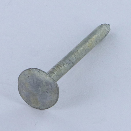 1 x Kg de pointes ARDOISE Tête extra large TEL 3.5X50 Diamètre de tête: 13.5 Forte tenue à la corrosion Acier