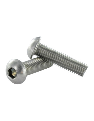 1 x Vis métaux Inox A2 BHC (Tête Bombée...
