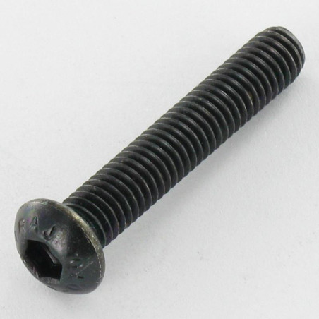 1 x Vis métaux Inox A2 Noir BHC (Tête Bombée Hexagonal creux) M6X20 Clé de 4 HC4 Filetage total