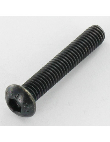 1 x Vis métaux Inox A2 Noir BHC (Tête Bombée...