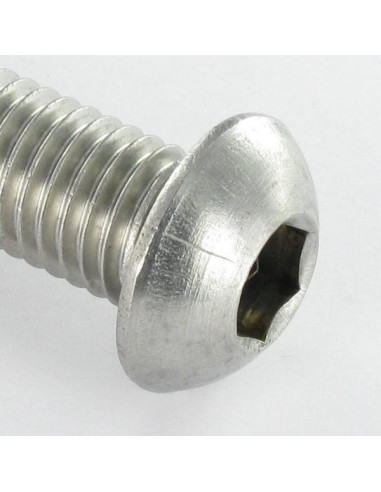 1 x Vis métaux Inox A2 BHC (Tête Bombée...