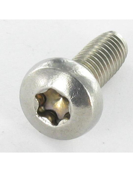 1 x Vis autotaraudeuse Tête cylindrique bombée TCB TORX T8 2.5X4 Inox A2 microvis