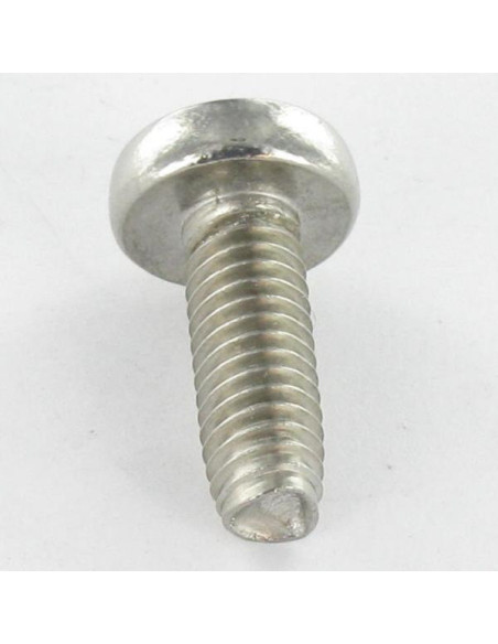 1 x Vis autotaraudeuse Tête cylindrique bombée TCB TORX T8 2.5X4 Inox A2 microvis