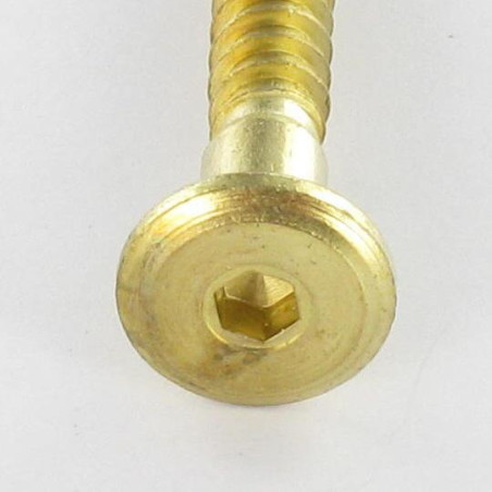 1 x Vis d'assemblage confirmat Tête ronde large Hexagonal creux 7X50 Acier laitonne