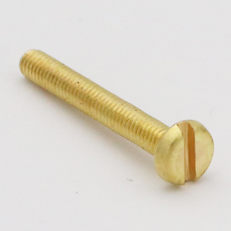 1 x Vis métaux Laiton Tête cylindrique large TCL Fendue Diamètre de tête: 10 M4X10