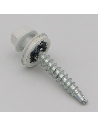 1 x Vis autoperceuse Tête hexagonale TH 4.8X35...