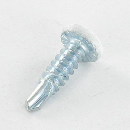 1 x Vis autoperceuse Tête cylindrique bombée TCB Phillips 3.9X19 Acier zingué LAQ RAL9010 blanc pur