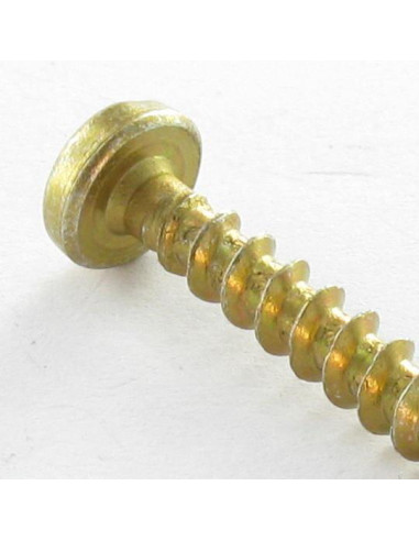 1 x VBA3 Tête ronde TR Pozi 4.5X50 Bichromaté