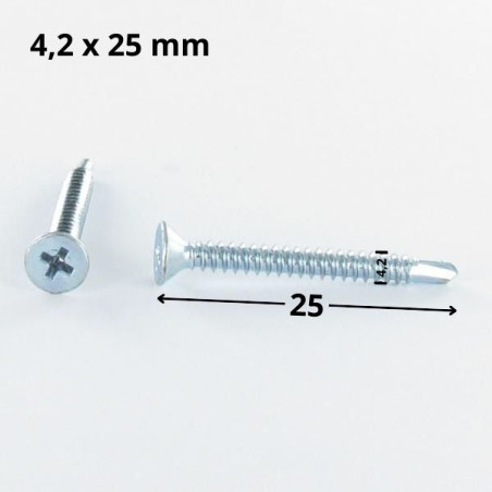 1 x Vis autoperceuse Tête fraisée Phillips 4.2X25 Filet tôle Acier zingué