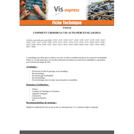 1 x Vis autoperceuse Tête fraisée Phillips 5.5X38 Filet tôle Acier zingué