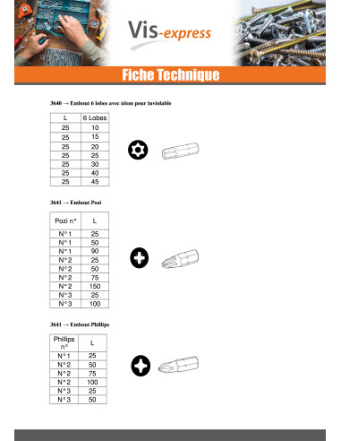 1 x Embout Inviolable Vis HC+TETON M3 Clé de 2 HC2