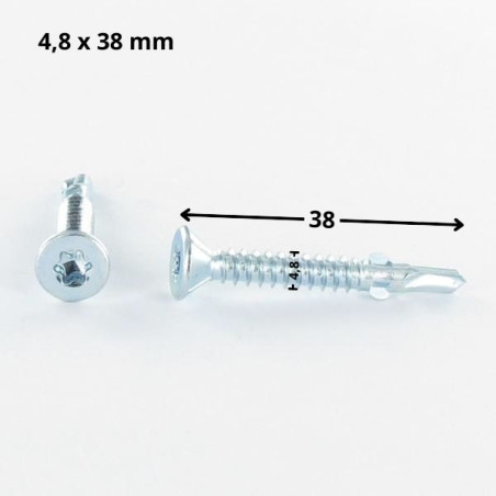 1 x Vis autoperceuse Tête fraisée TORX T25 4.8X38 Crantée et ailettes Acier zingué