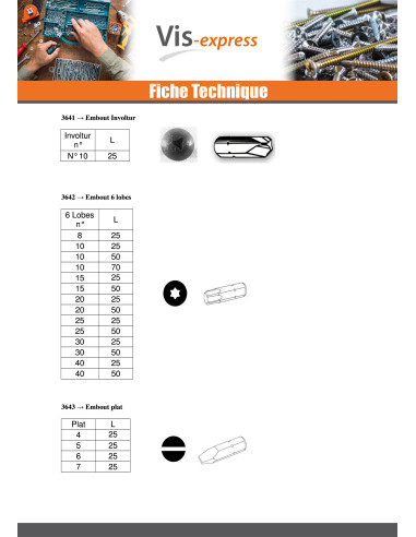 1 x Embout Inviolable Vis HC+TETON M4 Clé de...