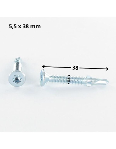 1 x Vis autoperceuse Tête fraisée TORX T25...