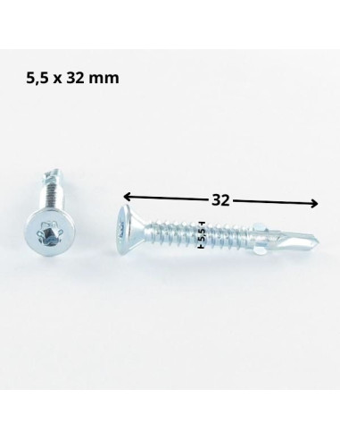 1 x Vis autoperceuse Tête fraisée TORX T25...