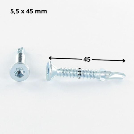 1 x Vis autoperceuse Tête fraisée TORX T30 5.5X45 Crantée et ailettes Acier zingué