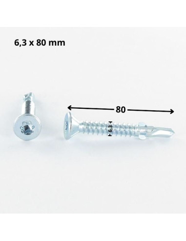 1 x Vis autoperceuse Tête fraisée TORX T30...