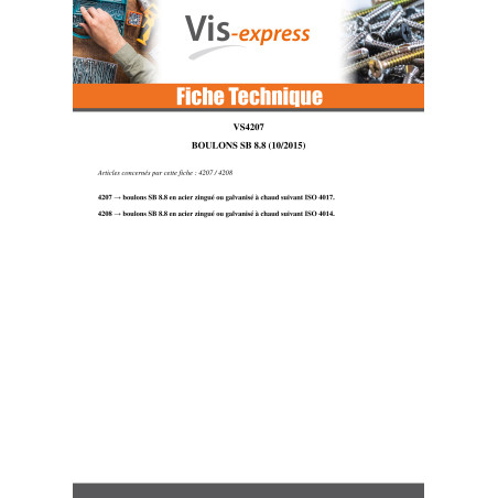 50 x Boulon (vendu avec Ecrou) Tête hexagonale TH M16X60 Classe 8.8 SB Acier zingué
