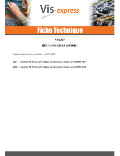 Boulon (vendu avec Ecrou) Tête hexagonale TH M20X110... 2
