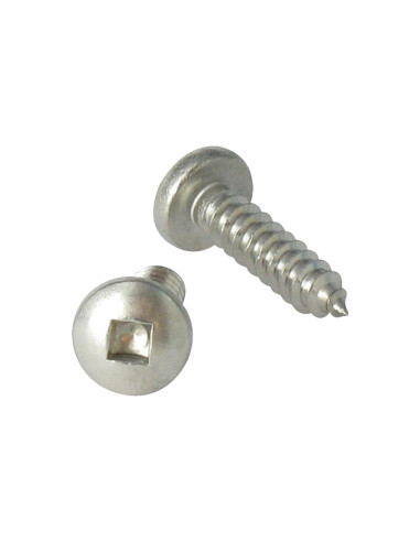 1 x Vis tôle Tête cylindrique TC Carré 4.8X19...