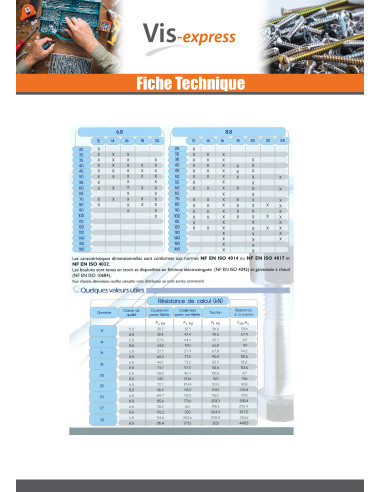 75 x Boulon (vendu avec Ecrou) Tête hexagonale...