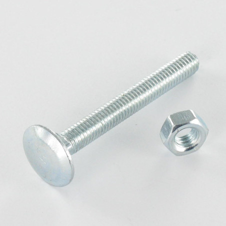 1 x Boulon (vendu avec Ecrou) TRCC JAPY tête ronde collet carré M12X160 Filetage total Acier zingué