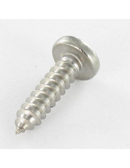 1 x Vis tôle Tête cylindrique TC Carré 5.5X25 Empreinte carré 3 Inox A2