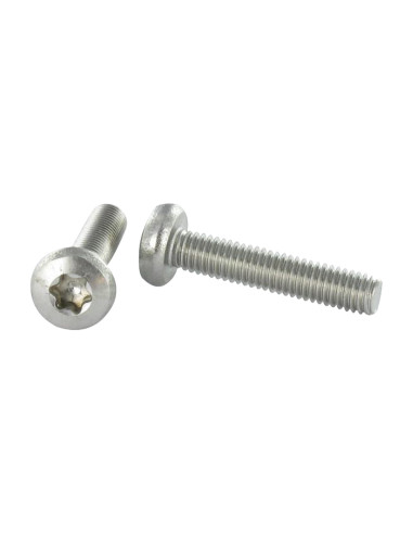 1 x Vis métaux tête cylindrique bombée large...