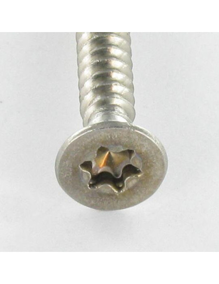 1 x Vis tôle Tête fraisée 4.8X22 Inox A2 TORX T25