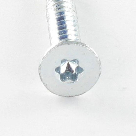 1 x Vis autoperceuse Bimétal Tête fraisée Cranté TORX T30 6.3X75