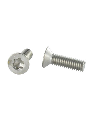 1 x Vis métaux Tête fraisée TORX T25 M5X40 Inox A4