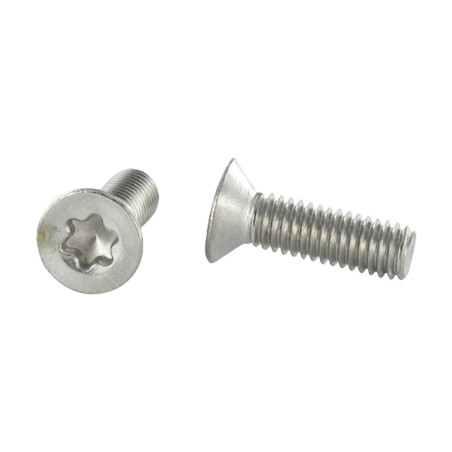 1 x Vis métaux Tête fraisée TORX T20 M4X6 Inox A4