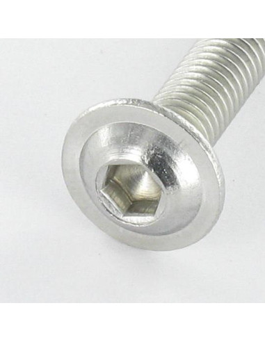 1 x Vis métaux BHC (Tête Bombée Hexagonal...