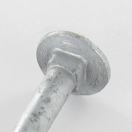 1 x Boulon (vendu avec Ecrou) TRCC JAPY tête ronde collet carré M12X240 Filetage partiel Forte tenue à la corrosion