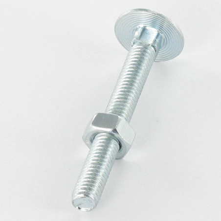 1 x Boulon (vendu avec Ecrou) TRCC JAPY tête ronde collet carré M6X25 Filetage total Acier zingué