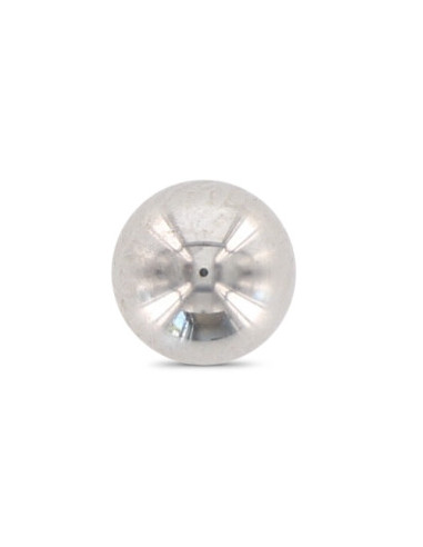 1 x BILLE ANTIVOL Pour Empreinte SW6 Inox A2