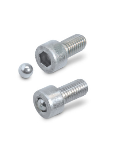 1 x BILLE ANTIVOL Pour Empreinte SW6 Inox A2