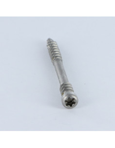 Spax Vis terrasse Tête cylindrique TC TORX T25 5X60 Inox A2 2