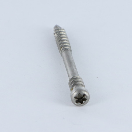 1 x Spax Vis terrasse Tête cylindrique TC TORX T25 5X60 Inox A2