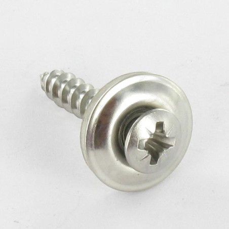 1 x Vis faitage Tête fraisée bombée TFB Pozi Inox A2 Rondelle d'étanchéite EPDM 4.5X60