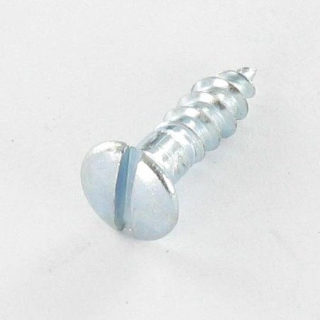 1 x Vis bois Tête fraisée bombée TFB Fendue 4X25 Acier zingué