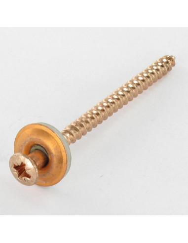 1 x Vis faitage Tête fraisée bombée TFB Pozi...