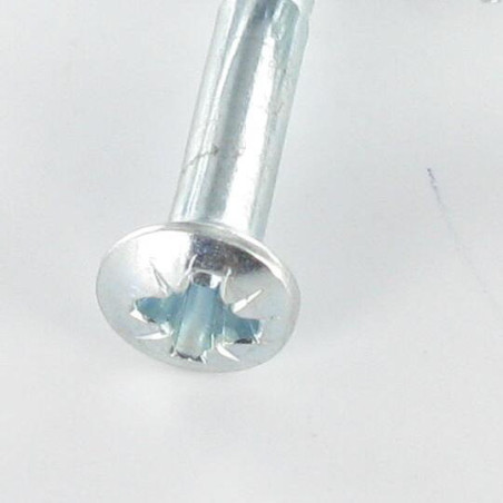 1 x Vis bois Tête fraisée bombée TFB Pozi N°2 4X20 Acier zingué
