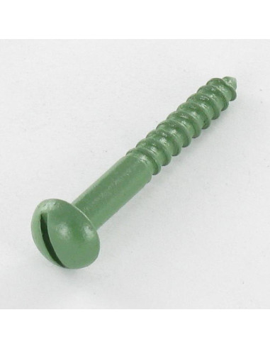 1 x Vis bois Tête ronde TR Fendue 4X30 Acier...