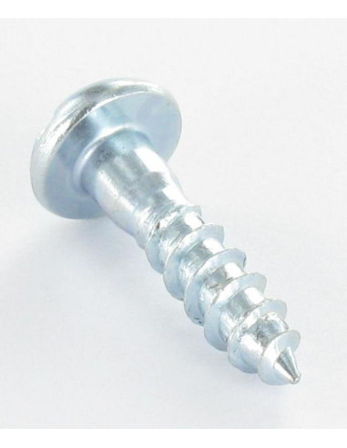 1 x Vis bois Tête ronde TR Fendue 2X12 Acier...
