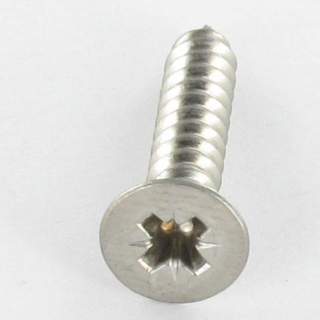 1 x Vis tôle Inox A2 Tête fraisée Pozi 5.5X80