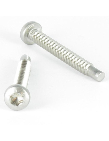 1 x Vis tôle tête cylindrique bombée large...